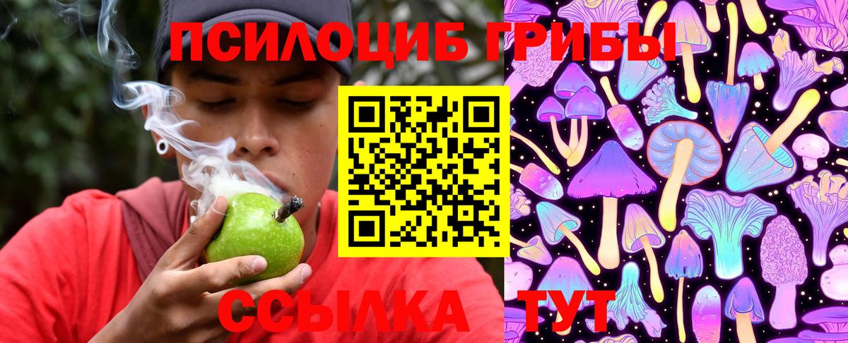 Кириши  Псилоцибиновые грибы Magic Shrooms  Вход с VPN 