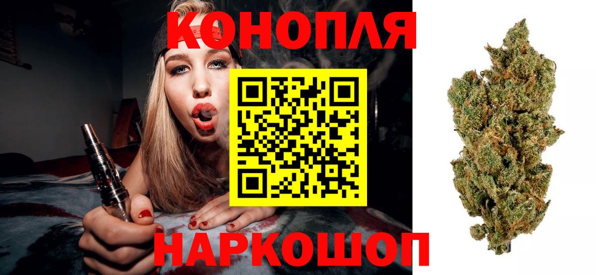 Марихуана сатива  Канабис марихуана  Марихуана OG Kush  Кириши  Вход с VPN 